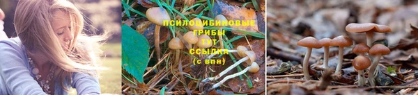 винт Алзамай