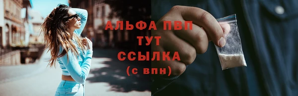 винт Алзамай