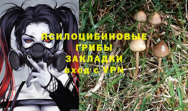 MDMA Алексеевка